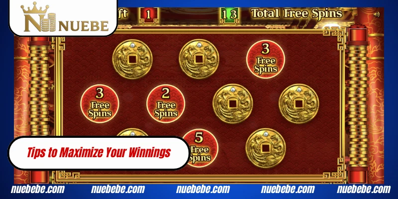 Tips to Maximize Your Winnings
