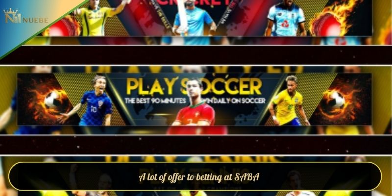 A lot of offer to betting at SABA