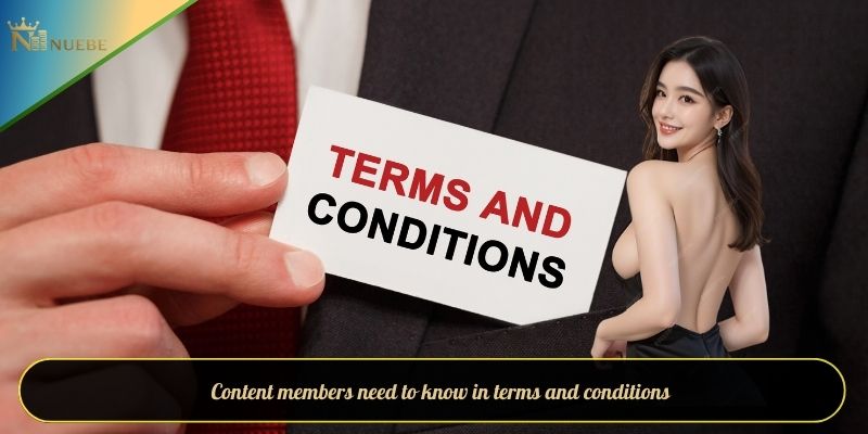 Content members need to know in terms and conditions