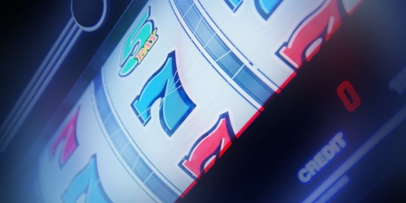 card-wild-feature